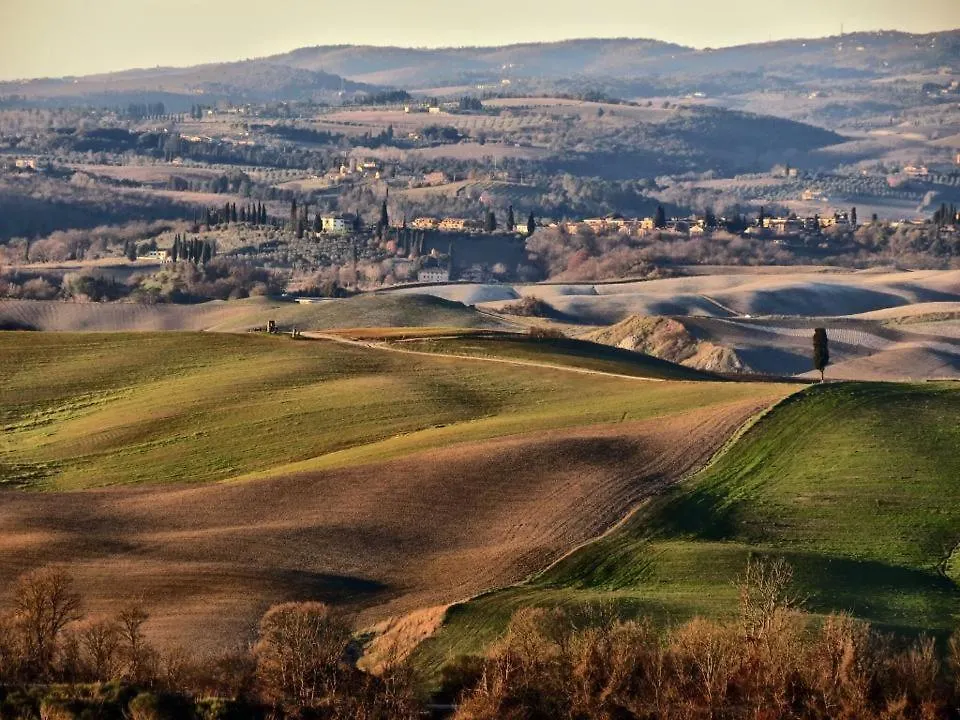 Podere il Granaio - Crete Senesi - Tuscany Villa Siena